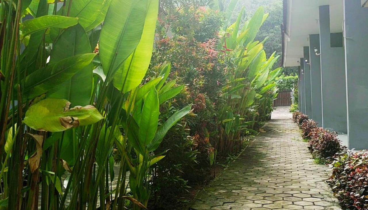 Oyo 2864 Mangsit Garden Homestay Exterior foto
